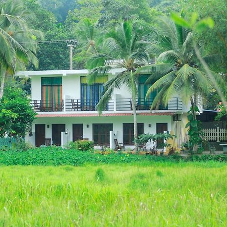 Paddy Field View Resort Mirissa Εξωτερικό φωτογραφία