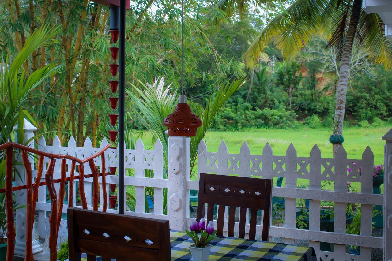 Paddy Field View Resort Mirissa Εξωτερικό φωτογραφία